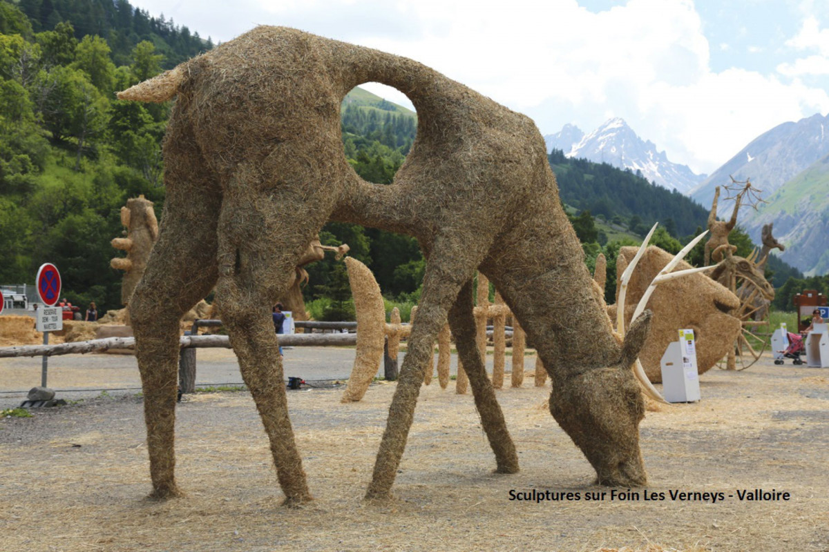 SCULPTURES SUR PAILLE - SEJOUR MONTAGNE - CHALET LES LUPINS - VALLOIRE