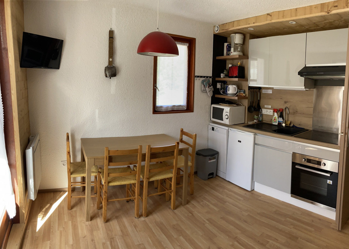 COIN REPAS- APPARTEMENT BETELGEUSE 60 - VALLOIRE CENTRE