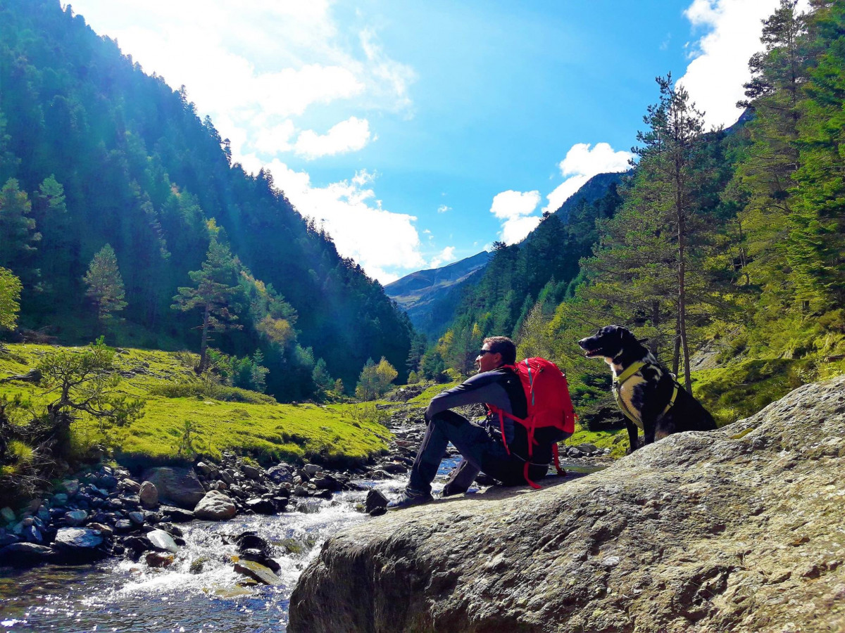 Vacances avec votre animal à Valloire - Bon plan - Valloire Réservations