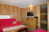 SALON - APPARTEMENT LES OURSONS 9 - VALLOIRE CENTRE - VALLOIRE RESERVATIONS