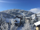 VUE - APPARTEMENT CREY DU QUART N°44 - VALLOIRE CENTRE